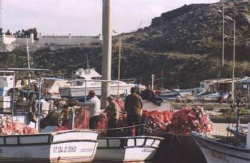 Liman i�i ve Aburga Ahmet Dede T�rbesi