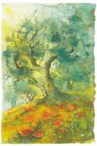 Hartig Ulrich, Oliven und Mohn