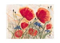 Hecht, Poppy Field