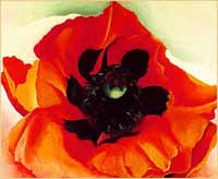 O'Keffee, Poppy,1927