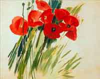 Schrade,Mohnaufstand