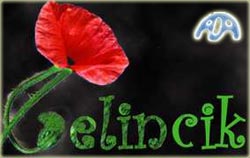 Gelincik....papaver roheas